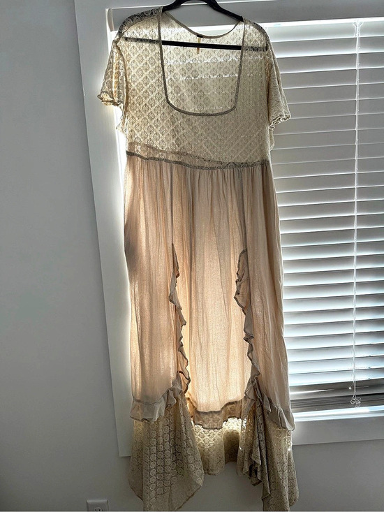 Free People Dresses & Skirts - Free People Floral Lace Maxi Dress in Beige